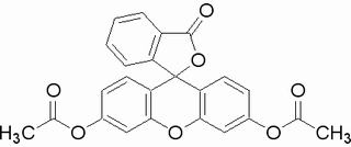 二乙酸熒光素