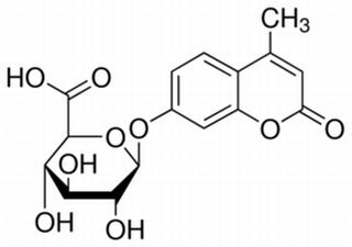 4-甲基傘花基-β-D-葡糖苷酸