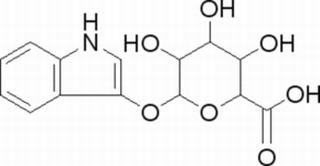3-吲哚基-β-D-葡糖苷酸環己胺鹽