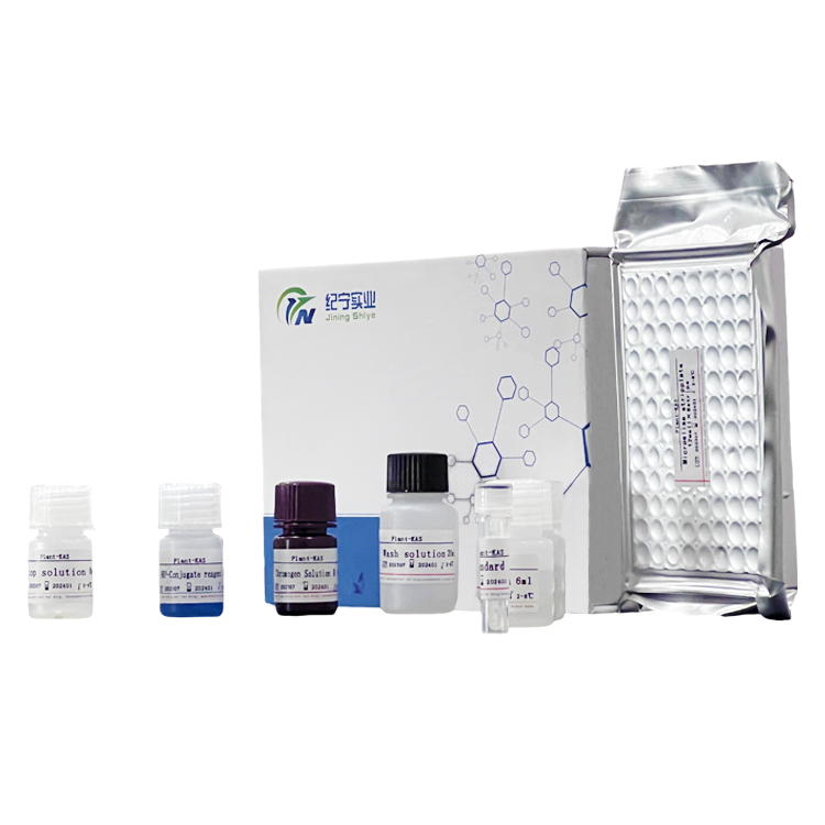 小鼠核因子E2相關因子2(Nrf2)ELISA試劑盒