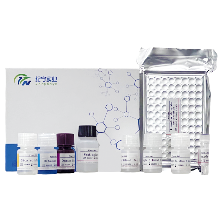 兔基質金屬蛋白酶13(MMP-13)ELISA試劑盒