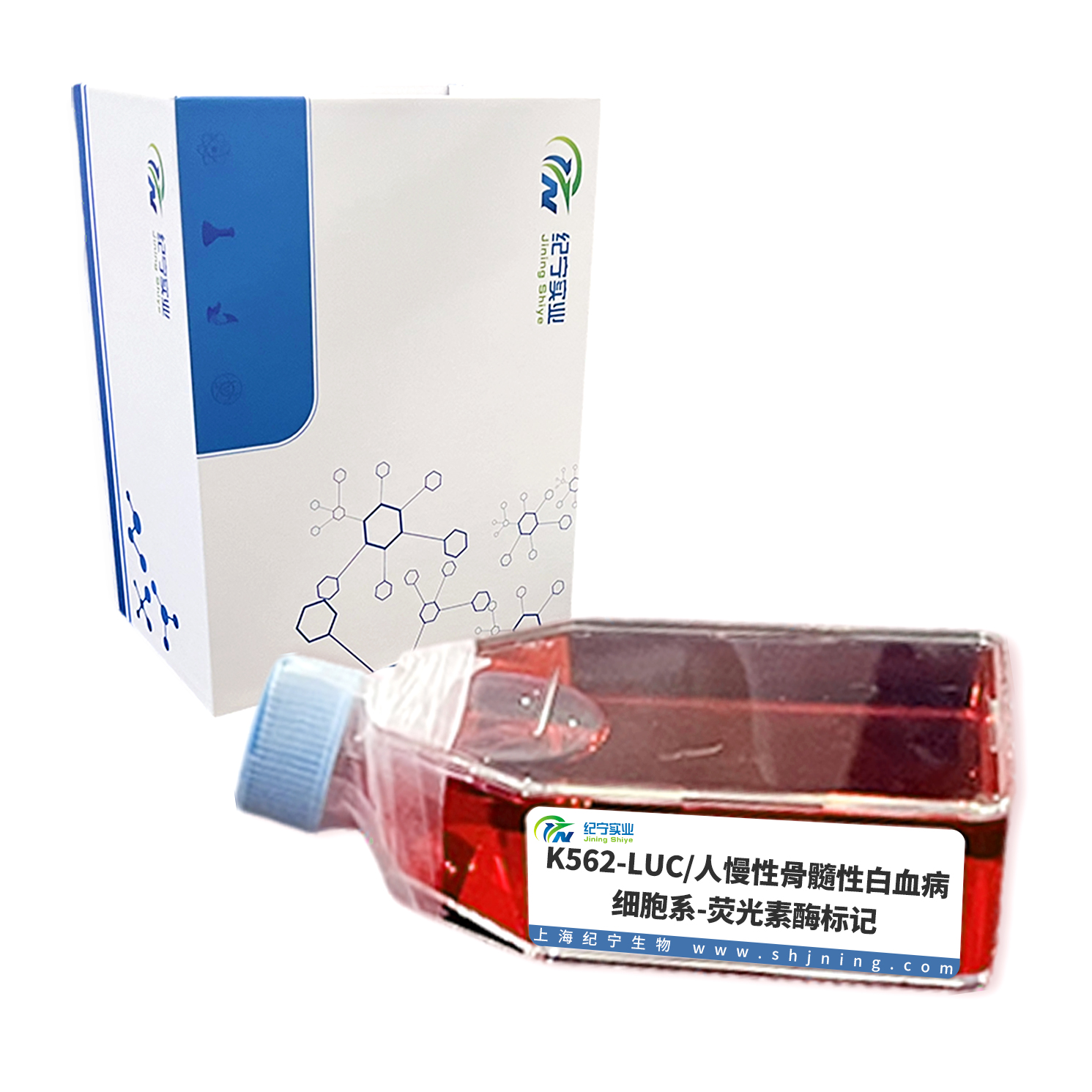 K562-LUC/人慢性骨髓性白血病細(xì)胞系-熒光素酶標(biāo)記