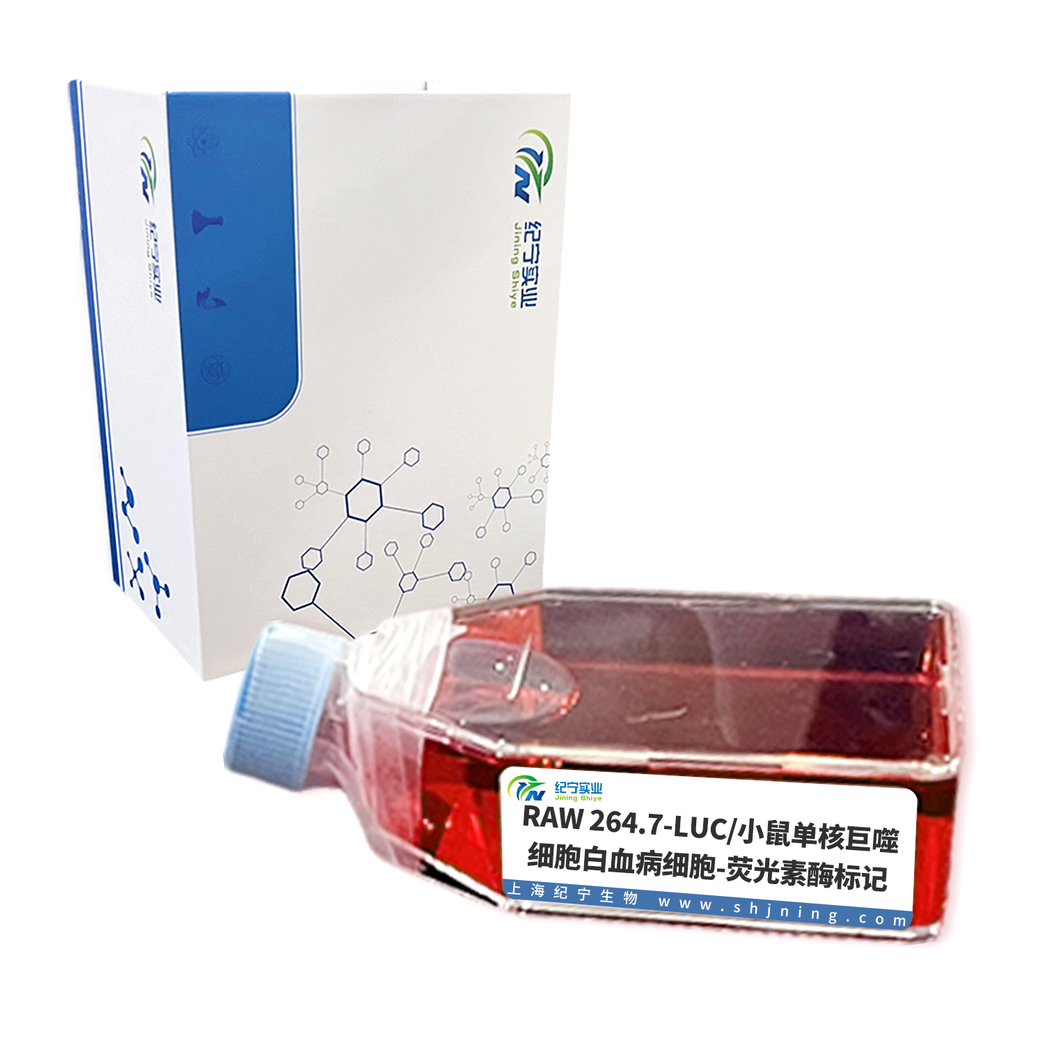 RAW 264.7-LUC/小鼠單核巨噬細胞白血病細胞-熒光素酶標記