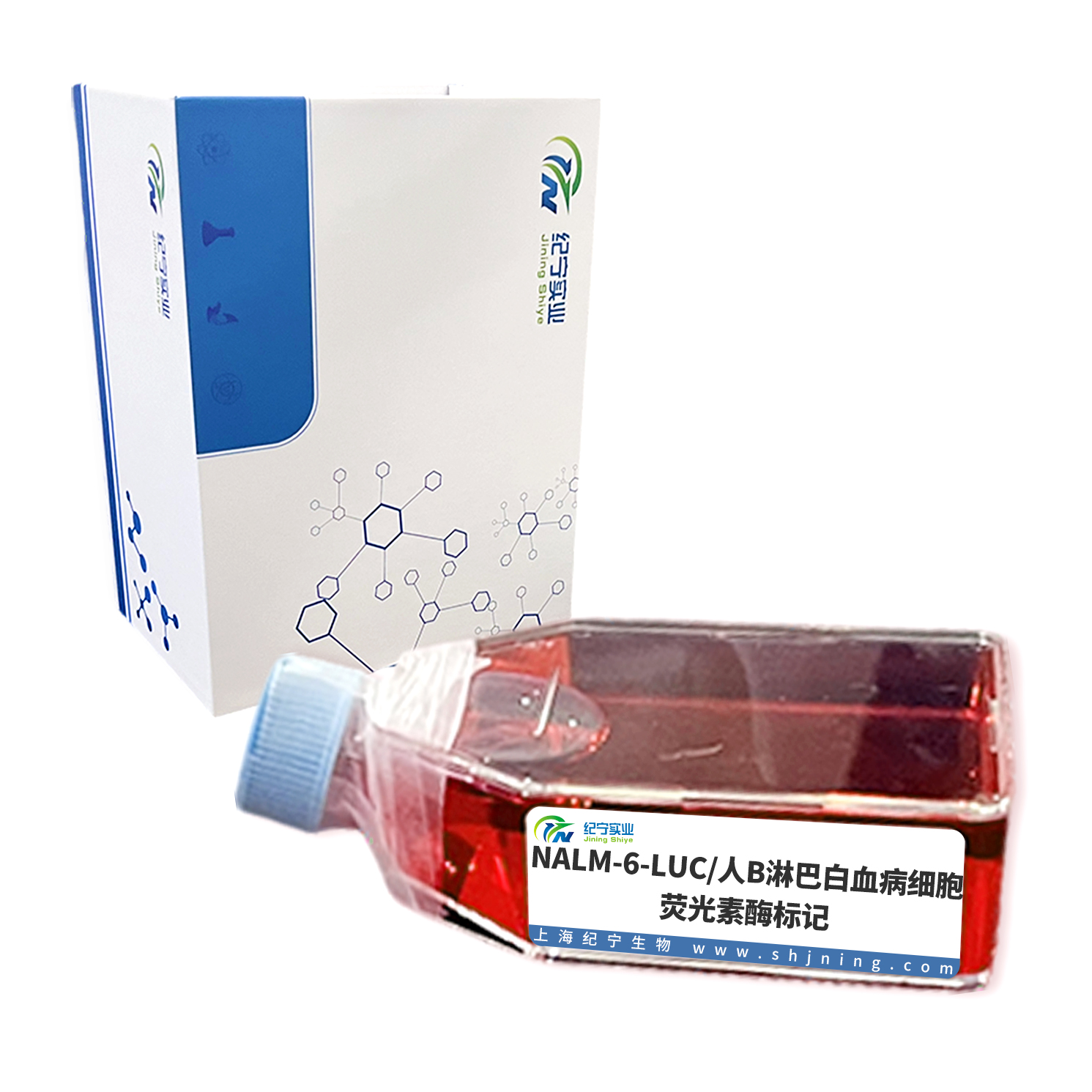 NALM-6-LUC/人B淋巴白血病細(xì)胞-熒光素酶標(biāo)記