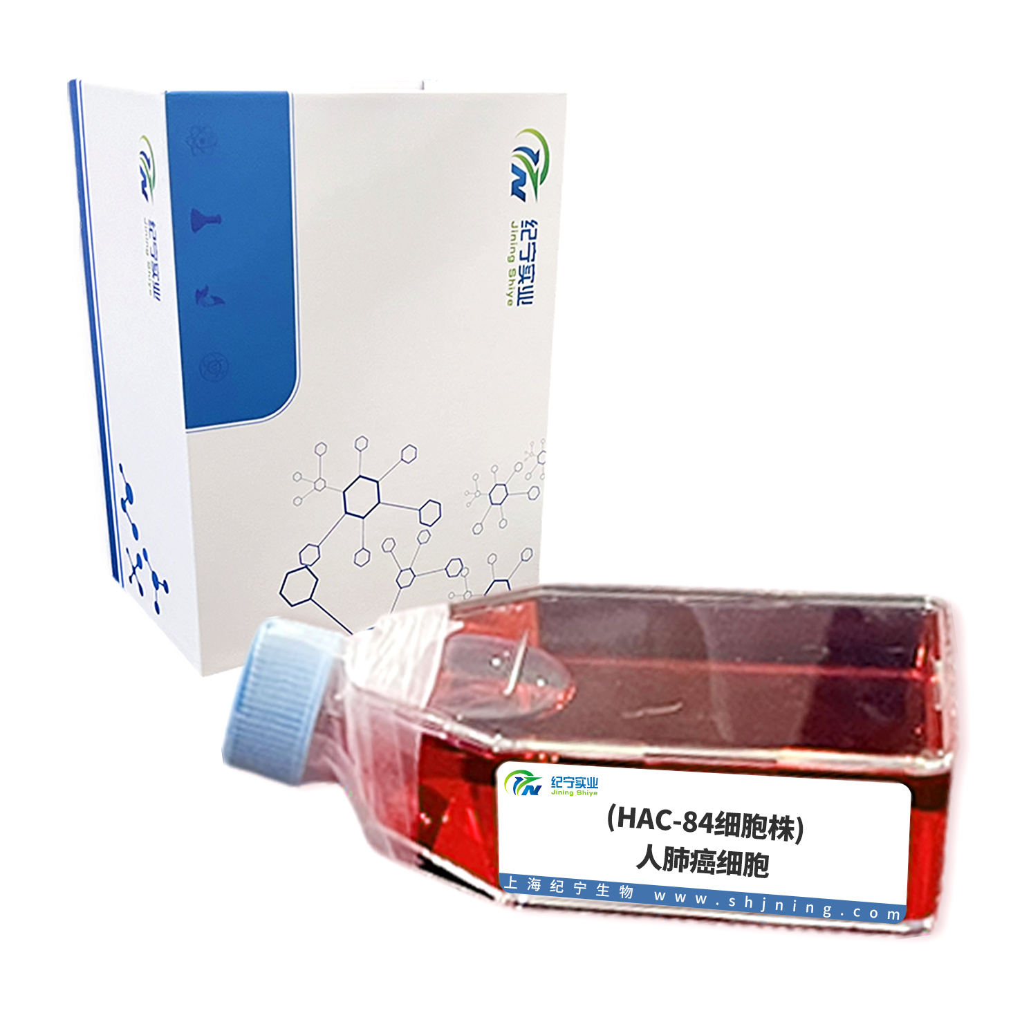 (HAC-84細胞株)人肺癌細胞